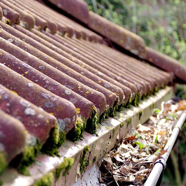 Why Clean Gutters Are an Essential Step for Spring Cleaning